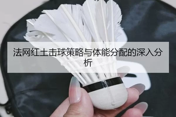 法网红土击球策略与体能分配的深入分析